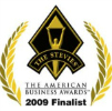 2009 Stevie Award FinalistMarketing Campaign of the Year