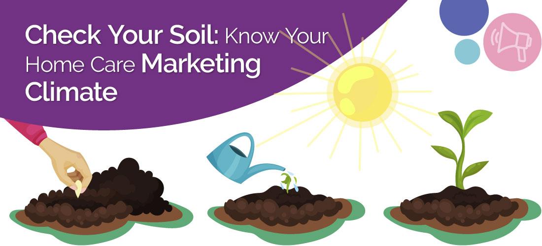 Check Your Soil: Know Your Home Care Marketing Climate