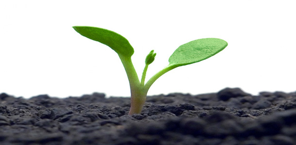 Check Your Soil; Know Your Marketing Climate