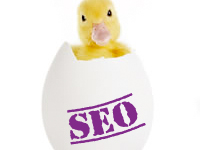 No More Ugly Duckling SEO – Live Critiques of Your Websites photo