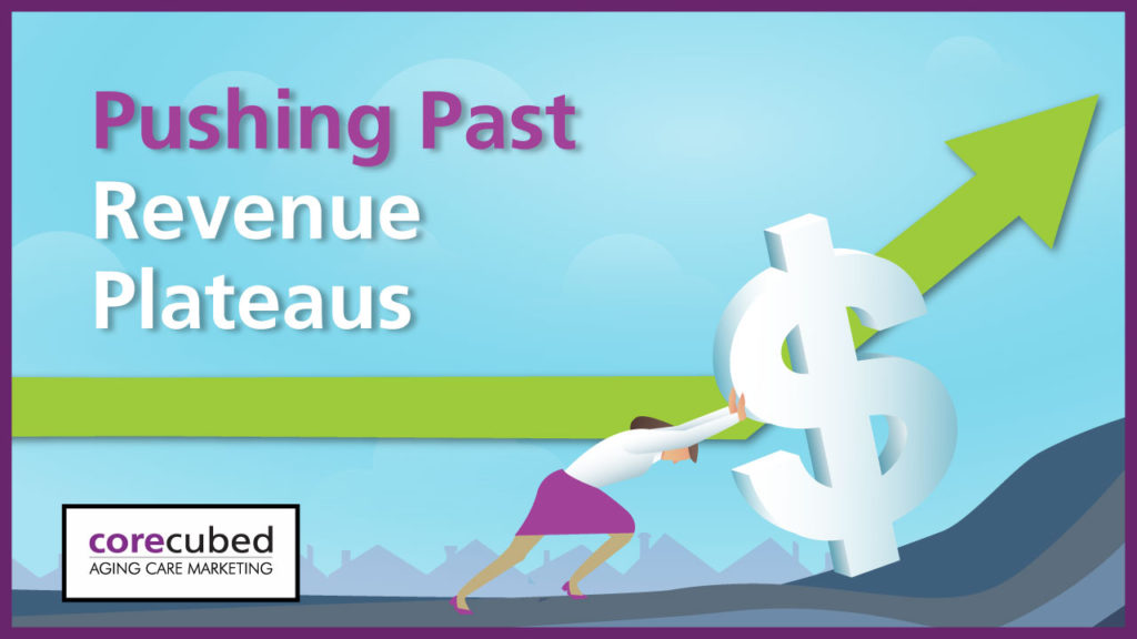 Pushing Past Revenue Plateaus photo
