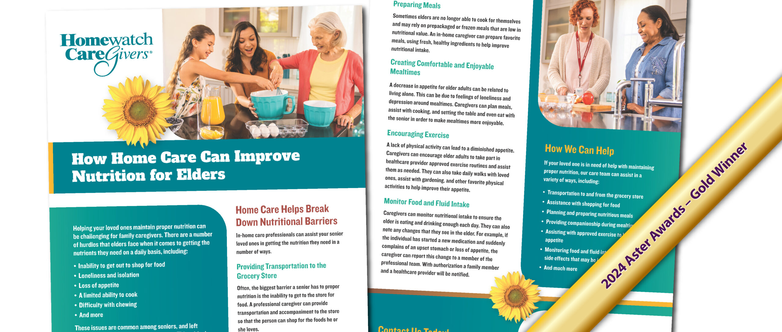 Homewatch CareGivers flyer