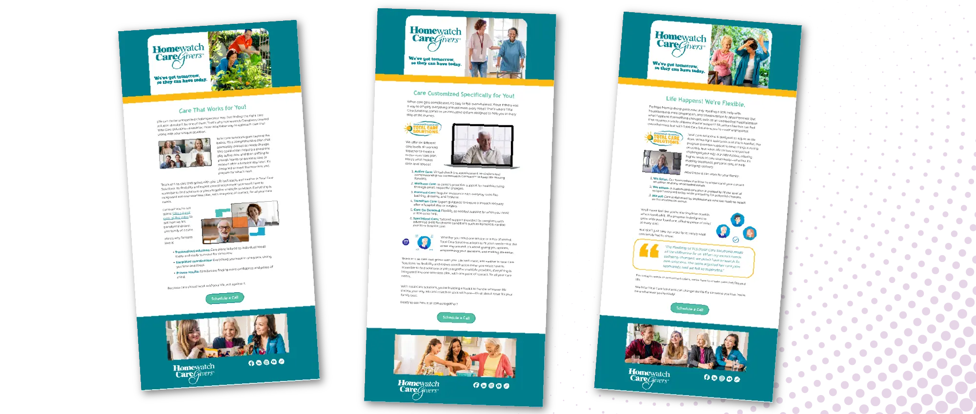 Homewatch CareGivers - Dip Email Campaign